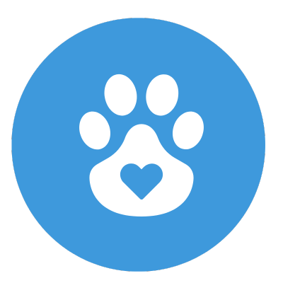 Doctor Carpet Cleaning