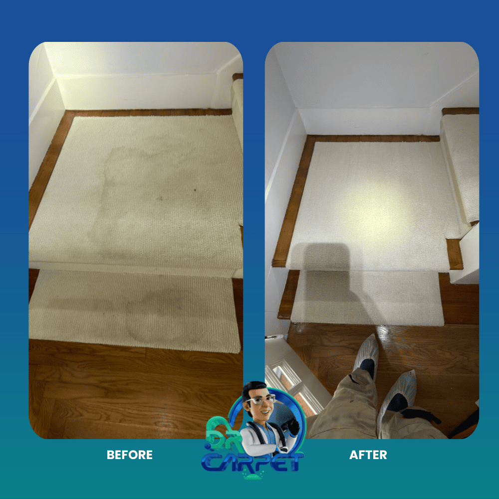 Doctor Carpet Cleaner