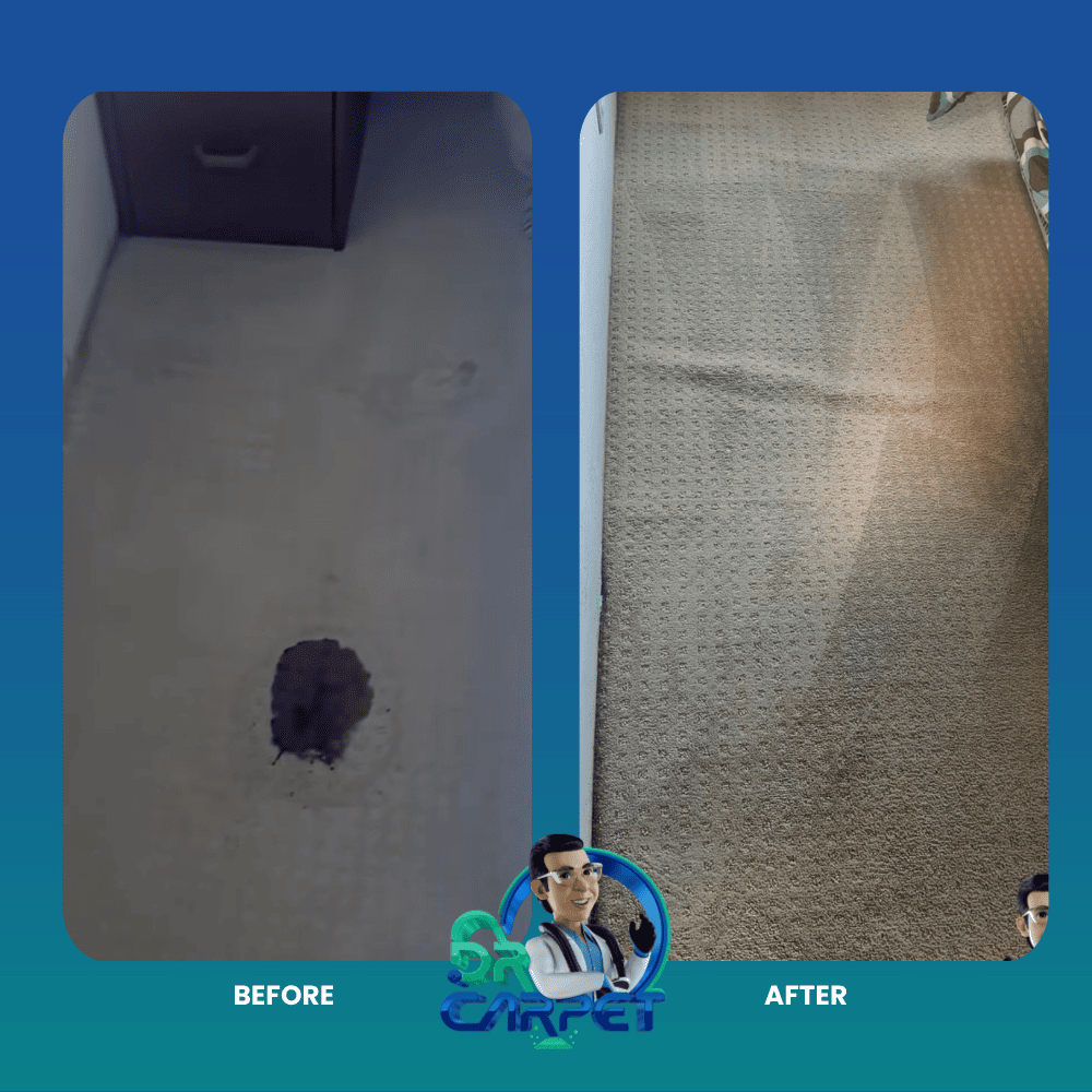 Doctor Carpet Cleaner