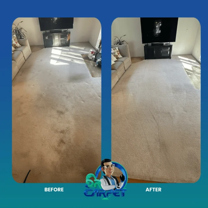 Living room carpet before and after deep cleaning by Dr. Carpet