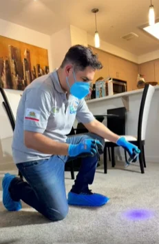 Dr. Carpet technician using a UV light to find pet urine in a carpet