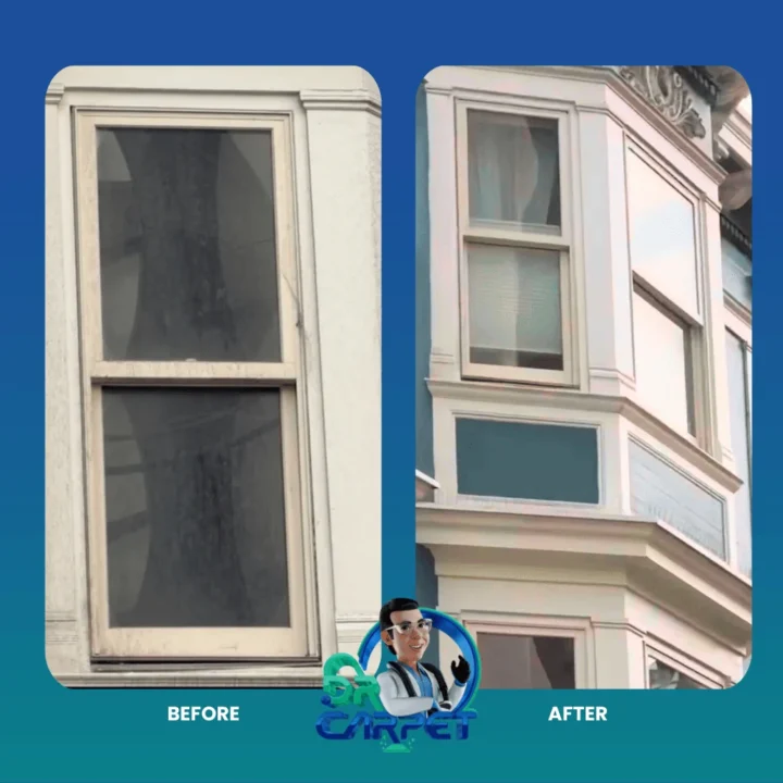Exterior window before and after cleaning by Dr. Carpet