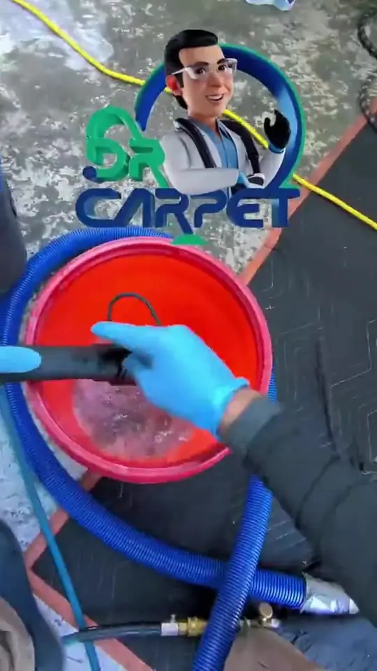 Upholstery cleaning walnut creek, CA video by Dr. Carpet